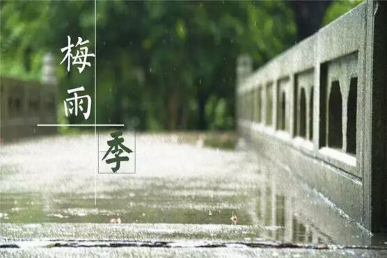 梅雨季节效果图